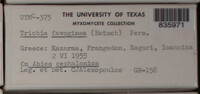 Image Associated With the Occurence